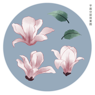 手繪玉蘭花