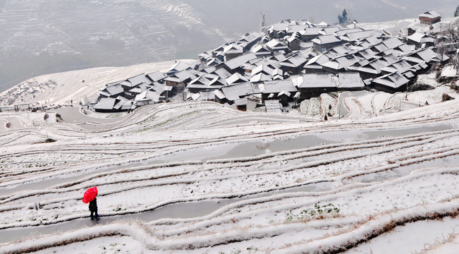 梯田雪景