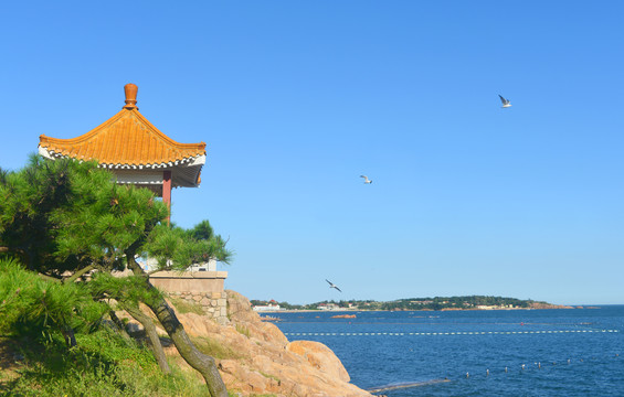 青岛太平湾海滨