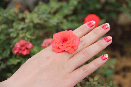 手指玫瑰