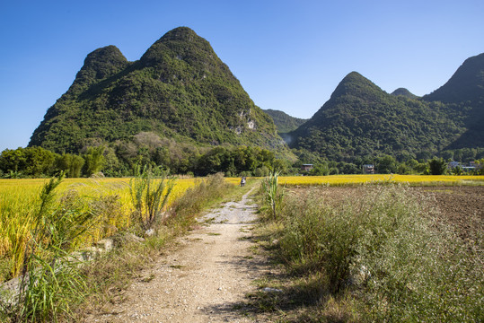 田间小路