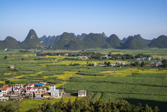 大地风景