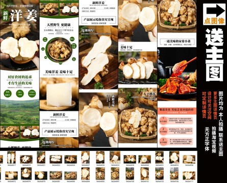 新鮮洋姜詳情