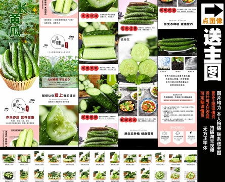 長黃瓜詳情