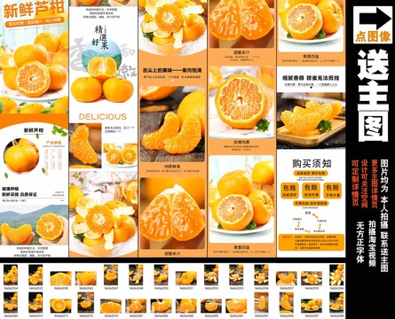 新鮮蘆柑詳情
