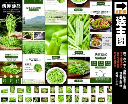 新鮮藜蒿詳情