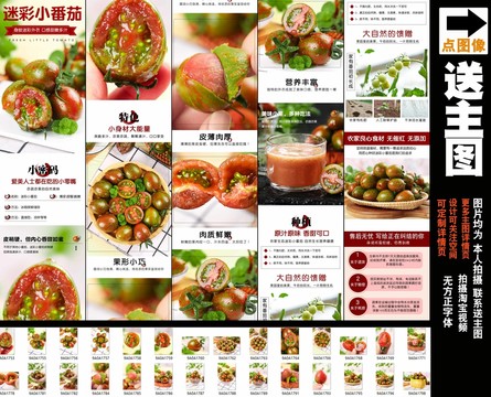迷彩小番茄詳情