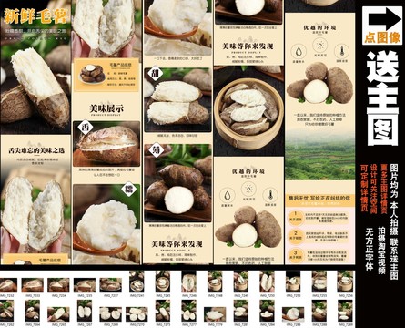 新鮮毛薯詳情