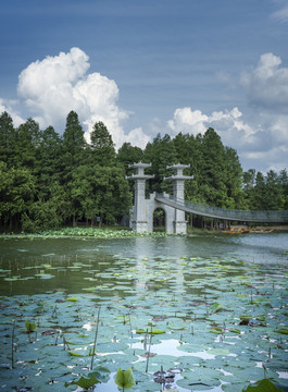 中国湖北武汉东湖落雁岛风景区