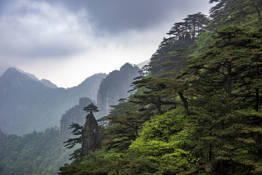 云雾山峦