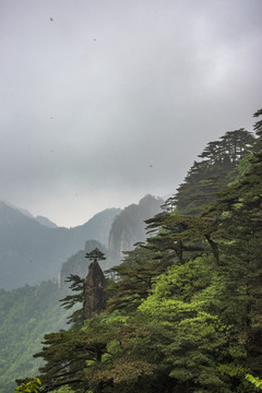 云雾山峦