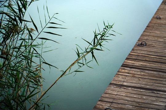 北京馬家灣濕地公園
