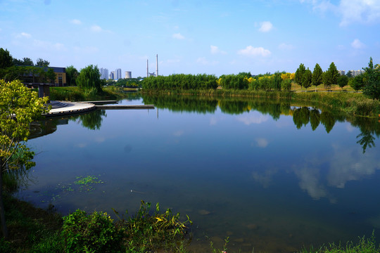北京马家湾湿地公园