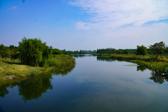 北京马家湾湿地公园