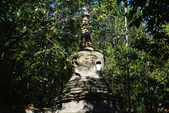 北京潭柘寺