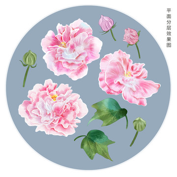 手繪芙蓉花