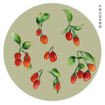 手繪枸杞