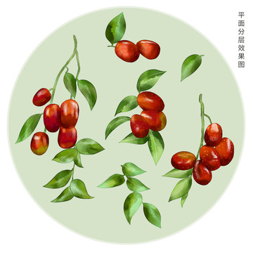 手繪紅棗