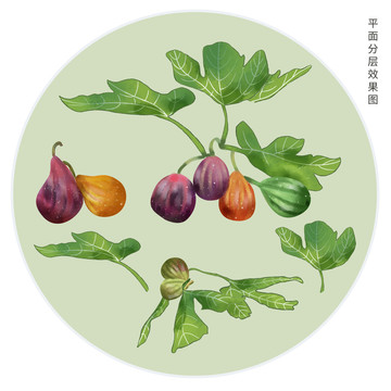 手繪無花果