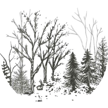 素描树林