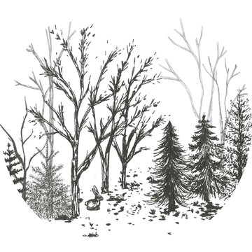 素描樹林