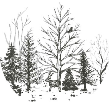 素描樹林
