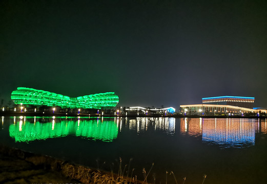 體育館夜景