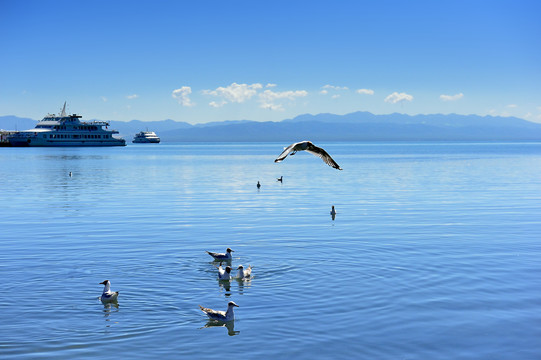 青海湖风光