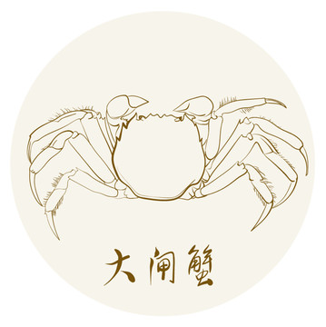 大閘蟹手繪線稿插畫
