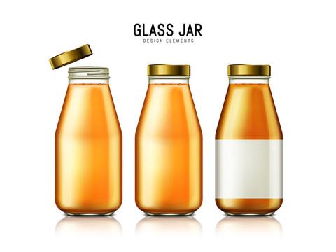 新鲜纯果汁玻璃瓶立体模型插图