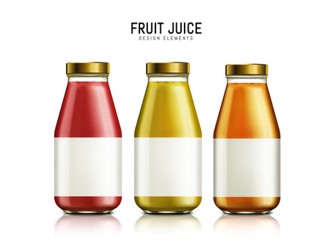 新鲜纯果汁玻璃瓶立体模型插图