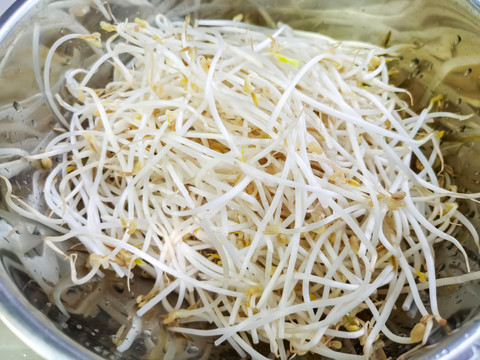 绿豆芽