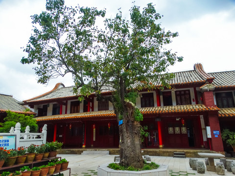 昆明筇竹寺寺院