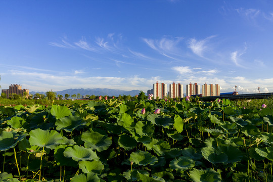 山水眉县