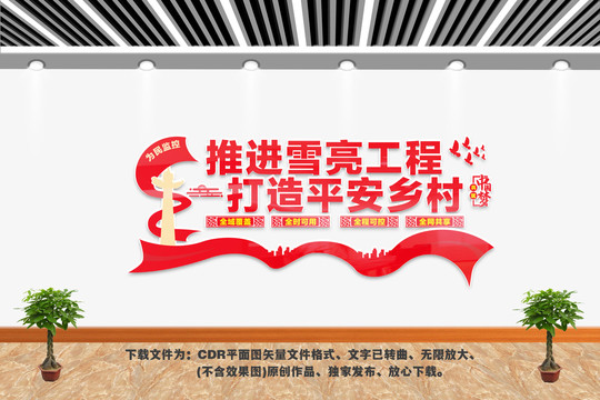 雪亮工程