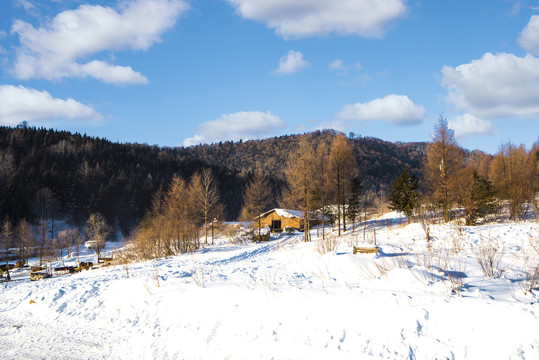 雪乡雪村