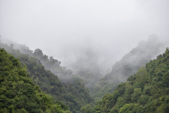 高山晨雾