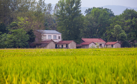 美丽乡村