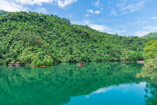 广东肇庆鼎湖山蝴蝶谷风景