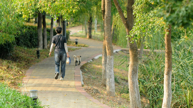 巢湖城市口袋公园之丁岗河公园