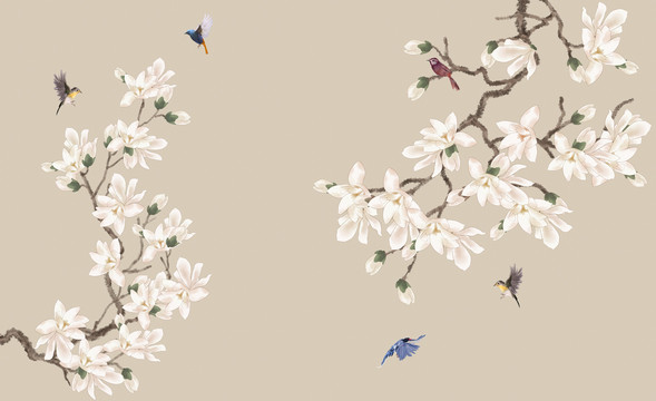 玉蘭花鳥壁紙