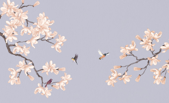 玉蘭花鳥圖