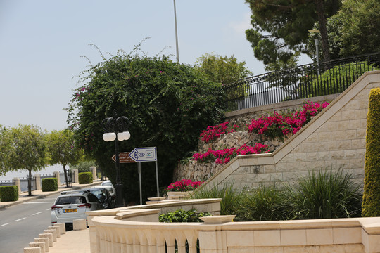以色列海法街景