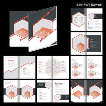信息画册InDesign设计