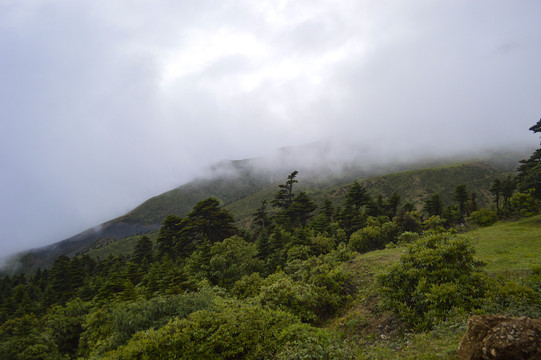 云雾山