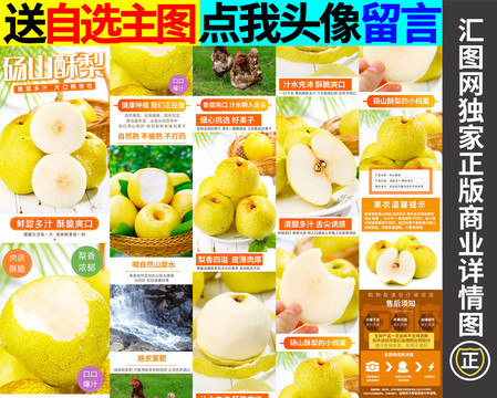 碭山酥梨詳情