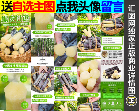 甘蔗詳情
