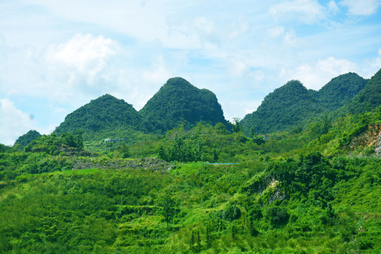 醉美乡村