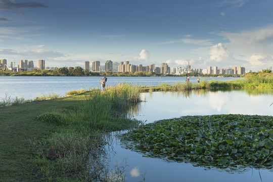 云南昆明草海湿地公园自然景观