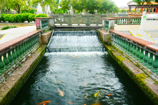 流水锦鲤